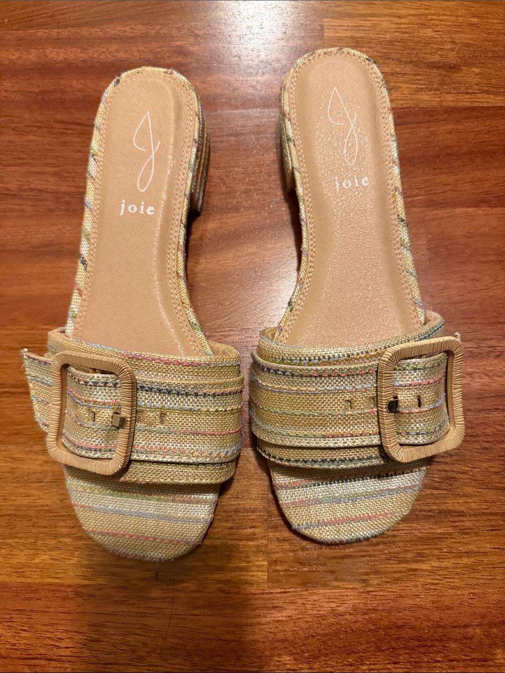 Joie Neutral Striped Slide Mules with Buckle - Picture 2 of 4